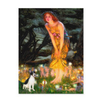 Rat Terrier - MidEve postcards