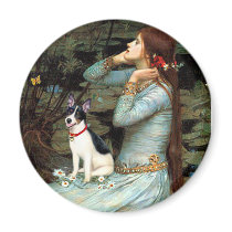 Rat Terrier - Ophelia Seated magnets