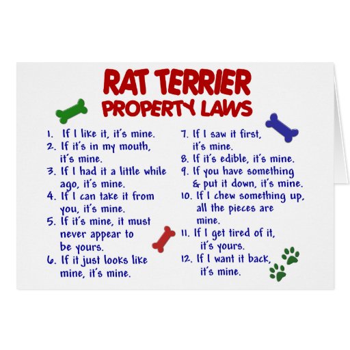 RAT TERRIER Property Laws 2 Card Zazzle