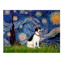 Rat Terrier - Starry Night Post Cards