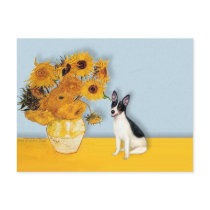 Rat Terrier - Sunflowers postcards