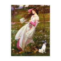 Rat Terrier - Windflowers postcards