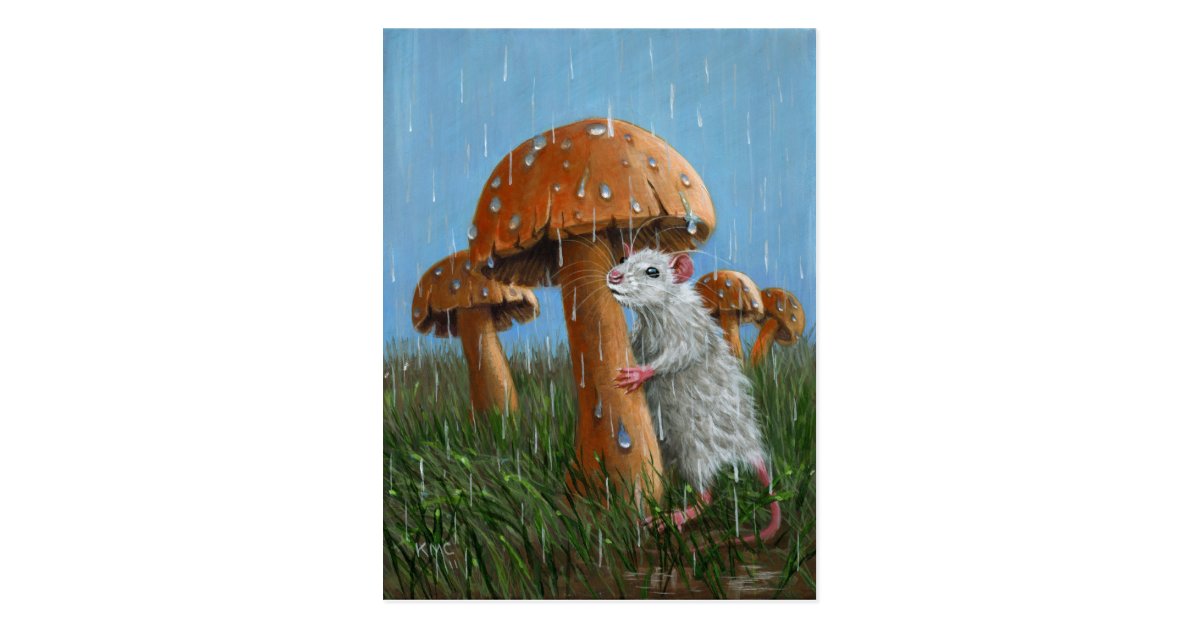 Rat under Mushroom in Rain Postcard | Zazzle