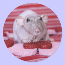 Rat Valentine Stickers stickers