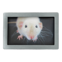 Rat Whiskers Belt Buckle belt buckles