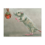 Rat with red bell postcard Christmas