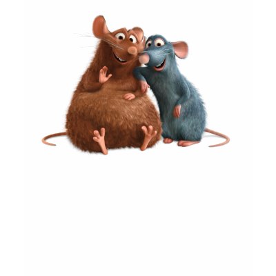 Ratatouille - Emile and Remy Disney t-shirts