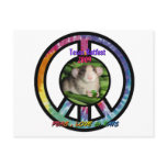Ratfest2009PeasLoveAndRatsDesign4Tshirts2 Post Cards