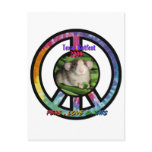 Ratfest2009PeasLoveAndRatsDesign4Tshirts2 Post Card