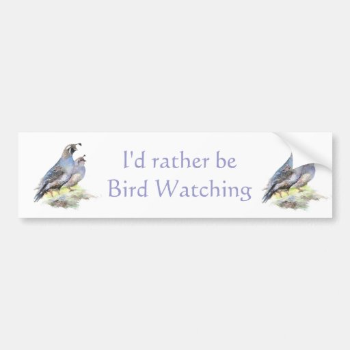 quotes-about-bird-watching-quotesgram