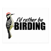 Rather Be Birding Postcards