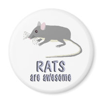 Rats are Awesome Refrigerator Magnets