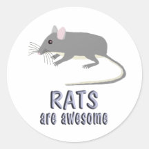 Rats are Awesome Round Stickers