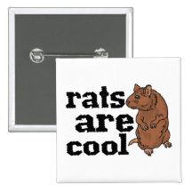 Rats Are Cool Pinback Button
