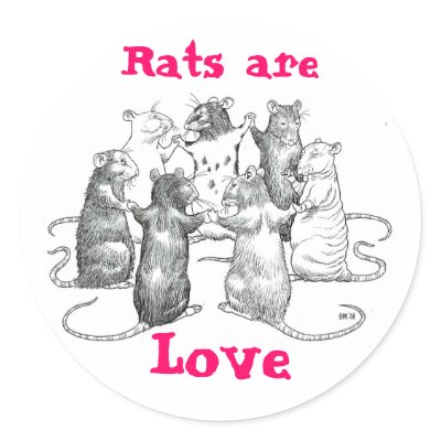 Rats are Love Stickers by Drusilla