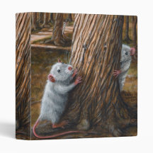 Rats by old tree hide and seek Binder