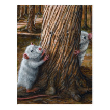 Rats by old tree hide and seek Postcard