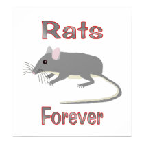 Rats Forever posters by AllPetsStore Rats Forever posters