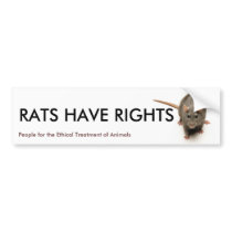 RATS HAVE RIGHTS BUMPER STICKER