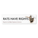 RATS HAVE RIGHTS bumper stickers