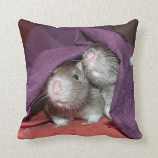 rat pillow pet