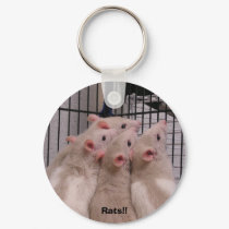 Rats!! keychains by okcshelter Rats!! keychains