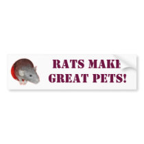 Rats make great pets! Bumper Sticker bumper stickers