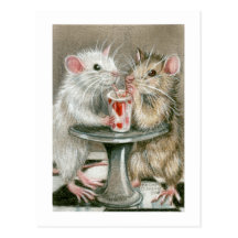 Rats on a Date Postcard
