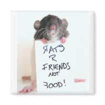 Rats R Friends Not Food 2 Magnet