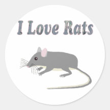 Rats Round Stickers