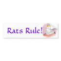 Rats Rule! bumper stickers by Drusilla Rats Rule! bumper stickers