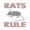 RATS RULE Poster posters by AllPetsStore RATS RULE Poster posters