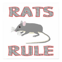 RATS RULE Poster posters by AllPetsStore RATS RULE Poster posters