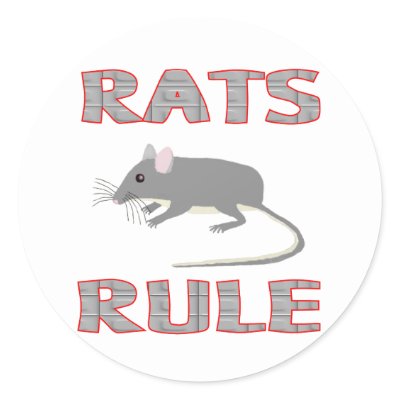 Rats Rule