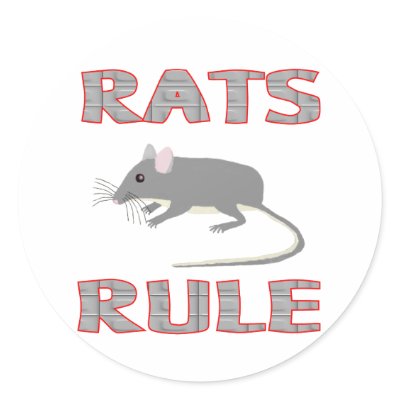 RATS RULE ROUND STICKER by AllPetsStore