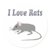 Rats Round Stickers