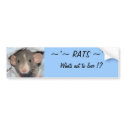 RATS...whats not to love ? bumper stickers by Mel669 RATS...whats not to love ? bumper stickers