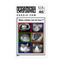 Rats..whats not to love? Postage postage by Mel669 Rats..whats not to love? Postage postage