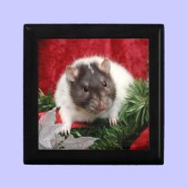 Rattie Christmas Box gift boxes