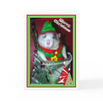 Rattie Elf cards