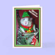 Rattie Elf cards