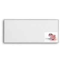 Rattie Envelope envelopes