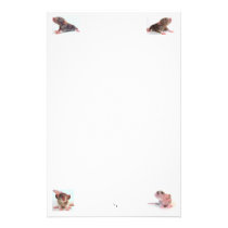 Rattie Galore stationery