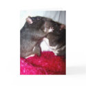 Rattie Kisses cards