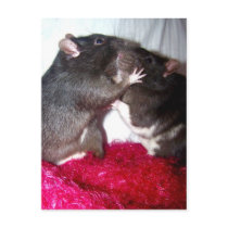 Rattie Kisses postcards by itsaratsworld Rattie Kisses postcards