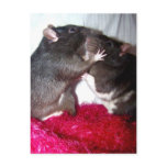 Rattie Kisses postcards