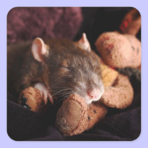 Rattie Stickers stickers