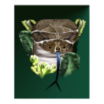 Rattle Snake Face Poster