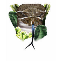 Rattle Snake Face T-Shirt by Lotacats Rattle Snake Face T-Shirt