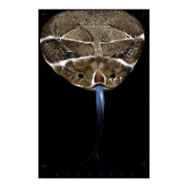 Rattle Snake Head black Poster posters by Lotacats Rattle Snake Head black Poster posters